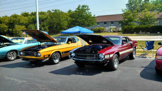 1973 GOLD GLOW Ford Mustang sportsroof