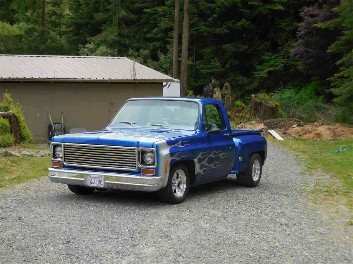 1973 Chevrolet C-10 Standard Cab Pickup