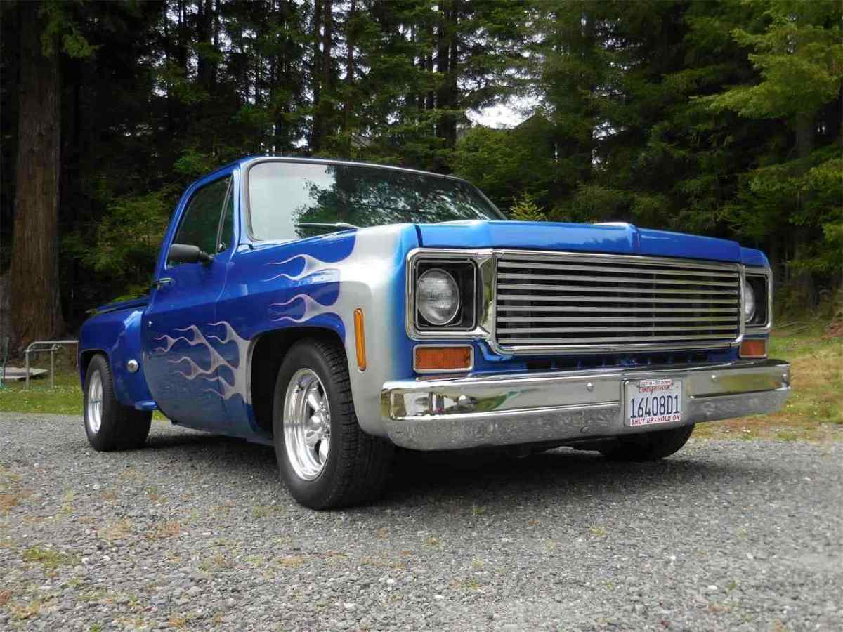 1973 Chevrolet C-10 Standard Cab Pickup