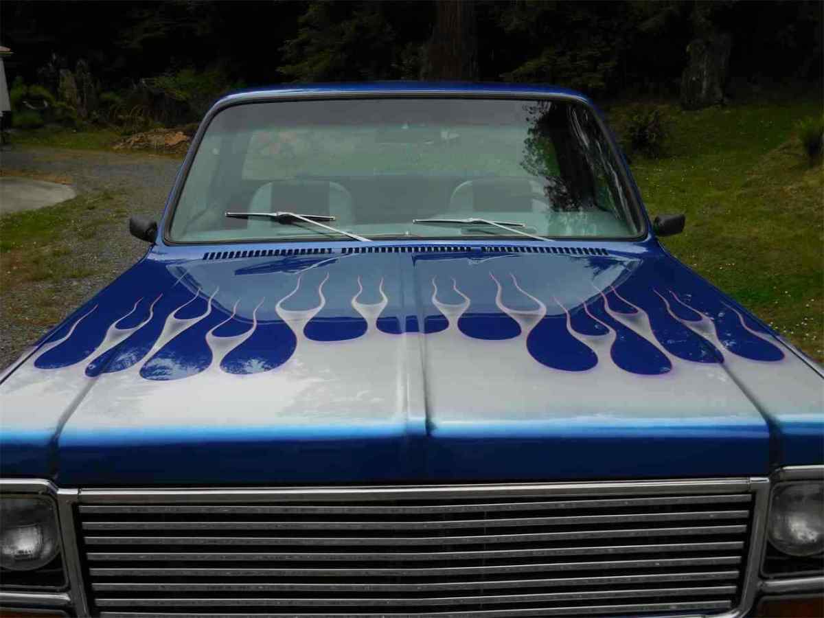 1973 Chevrolet C-10 Standard Cab Pickup