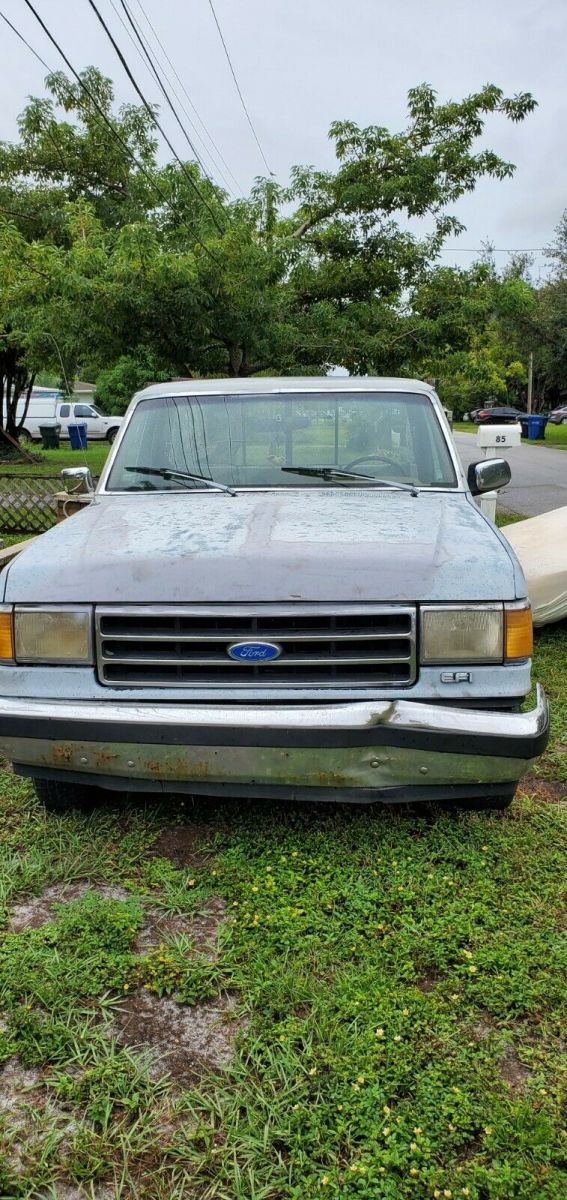 1989 Gray Ford F-150
