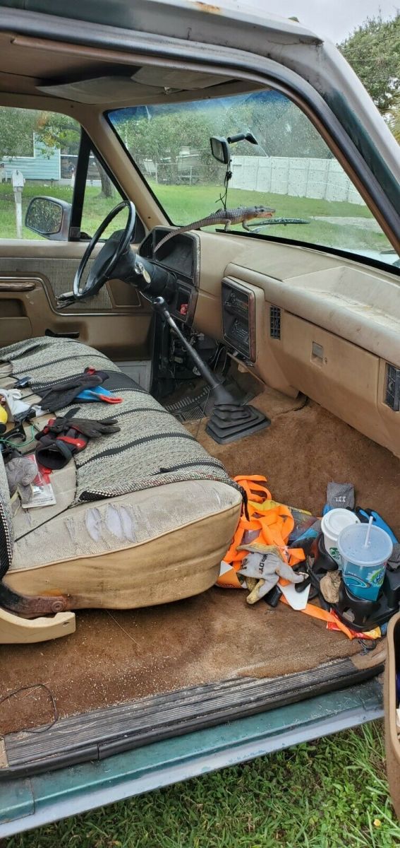 1989 Gray Ford F-150