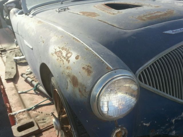 19550000 Austin Healey Other