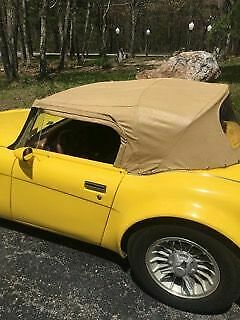 1980 Austin Healey Other