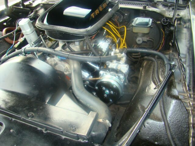 1981 Black Pontiac Firebird Coupe