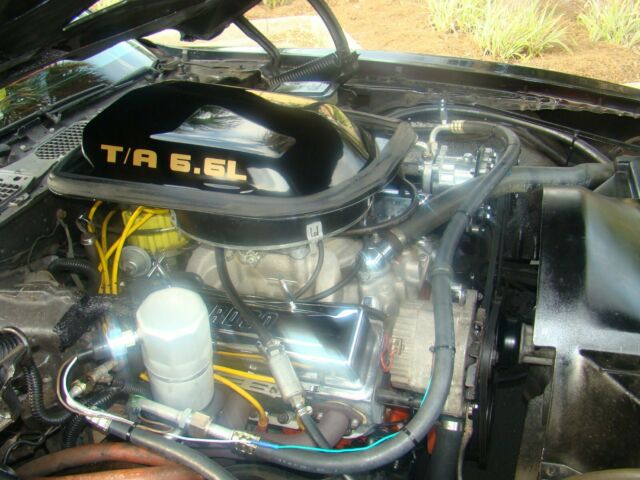 1981 Black Pontiac Firebird Coupe