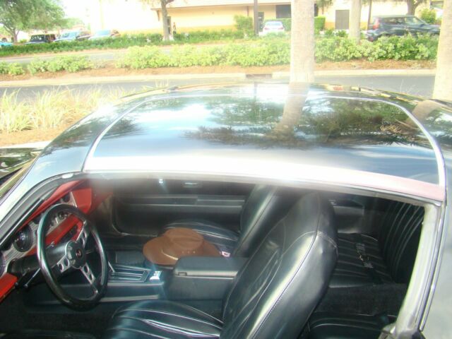 1981 Black Pontiac Firebird Coupe