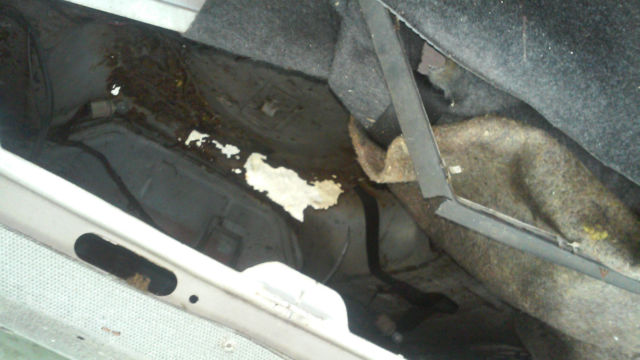 19810000 Ford Mustang