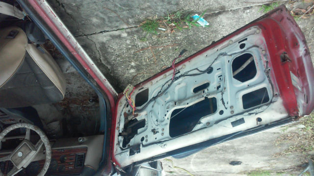 19810000 Ford Mustang