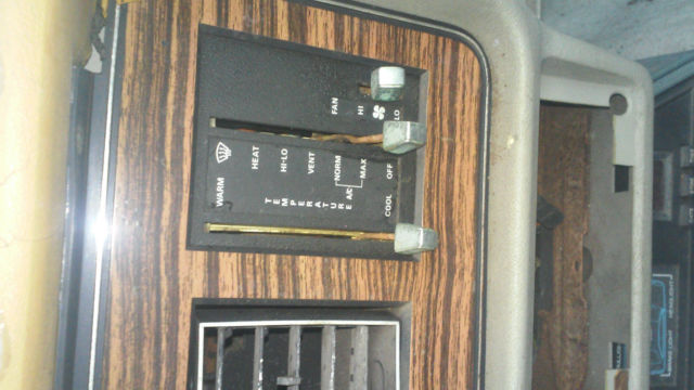 19810000 Ford Mustang