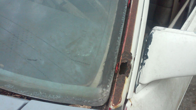 19810000 Ford Mustang