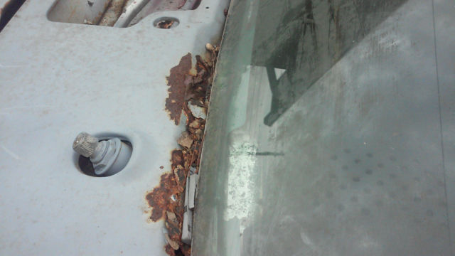 19810000 Ford Mustang