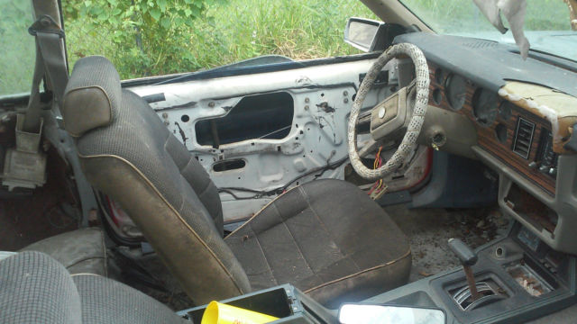 19810000 Ford Mustang