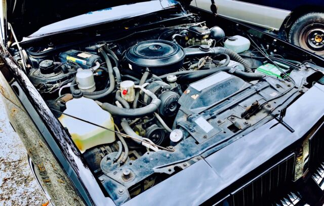 1984 Black Oldsmobile Cutlass Coupe