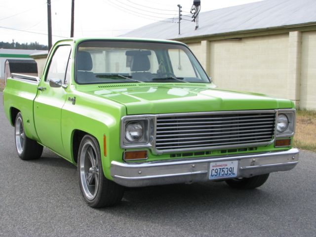 1974 hellcat green Chevrolet C-10 Standard Cab Pickup