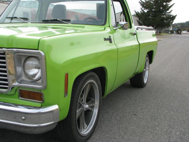 1974 hellcat green Chevrolet C-10 Standard Cab Pickup