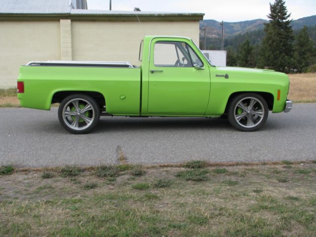 1974 hellcat green Chevrolet C-10 Standard Cab Pickup