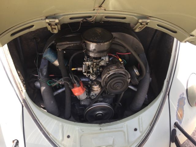 1959 Green Volkswagen Beetle - Classic Coupe