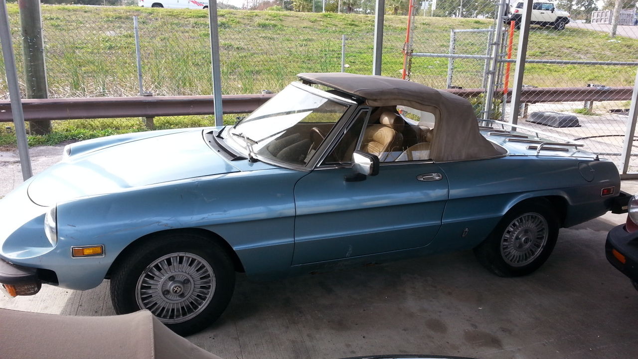 1981 Blue Alfa Romeo Spider Convertible