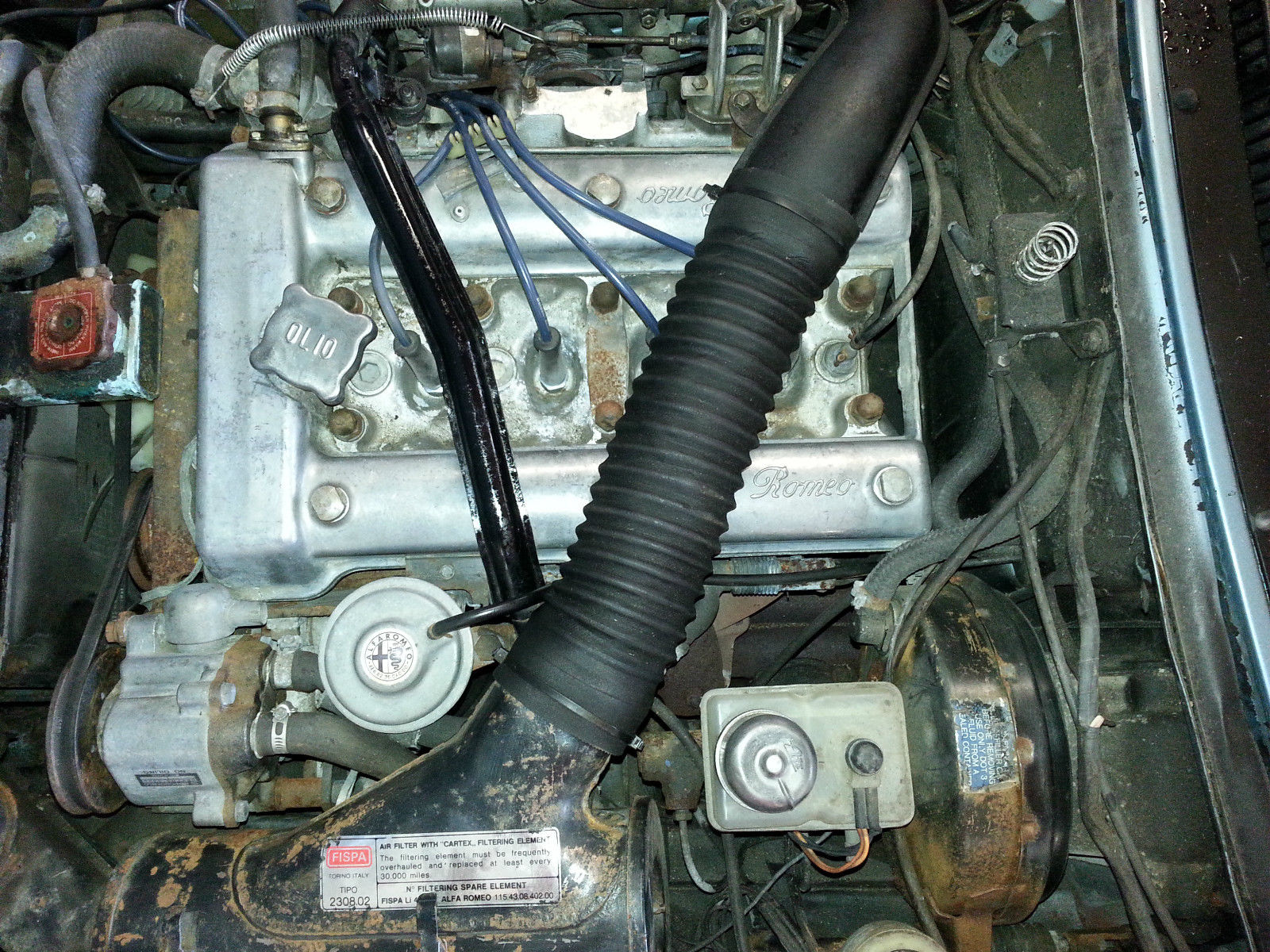 1981 Blue Alfa Romeo Spider Convertible