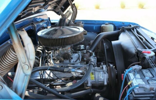 1970 Blue Chevrolet Other Pickups PickUp