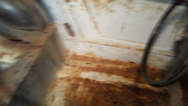 1959 Austin Healey Sprite