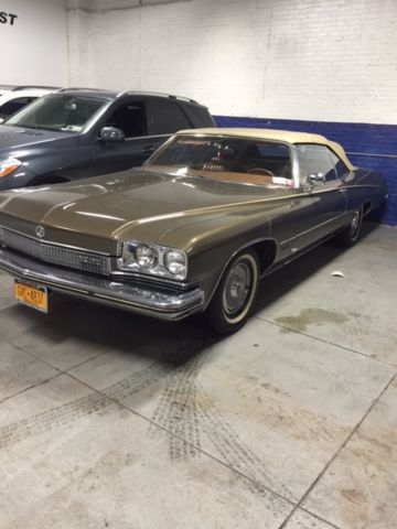 1973 Brown Buick Other Convertible