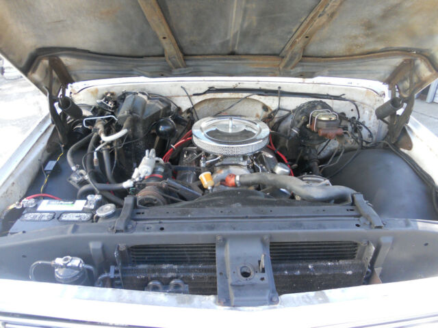 1970 White Chevrolet C-10 C-10