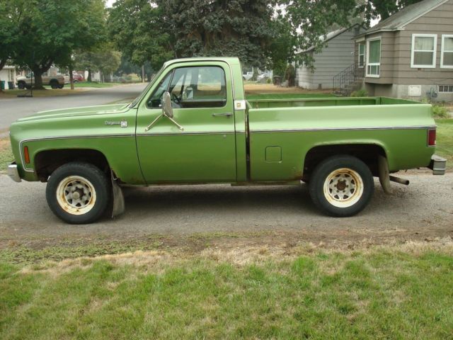 1975 Green Chevrolet C-10