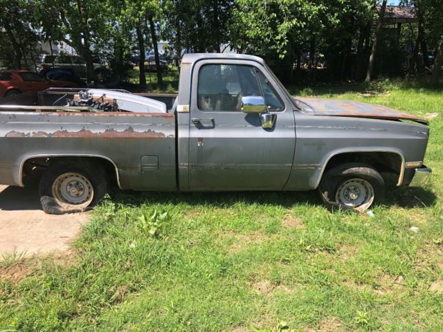 1987 Gray Chevrolet C-10