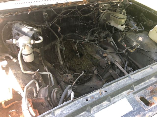 1987 Gray Chevrolet C-10