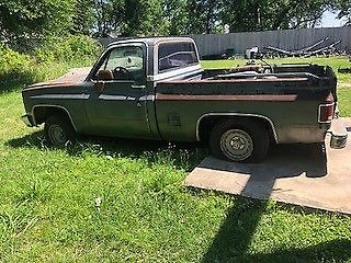 1987 Gray Chevrolet C-10