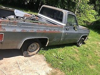 1987 Gray Chevrolet C-10