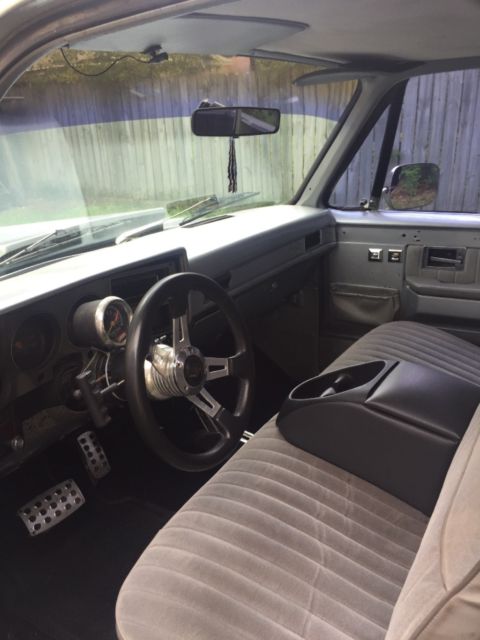 1983 Silver Chevrolet C-10 Standard Cab Pickup