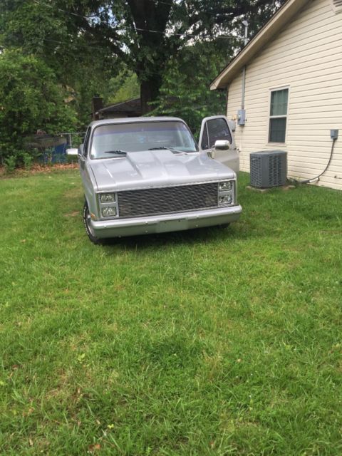 1983 Silver Chevrolet C-10 Standard Cab Pickup