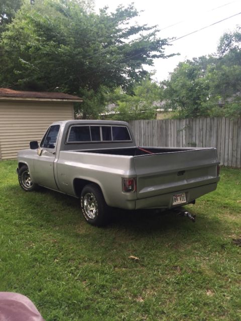 1983 Silver Chevrolet C-10 Standard Cab Pickup