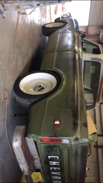 1970 Green Chevrolet C-10 Truck