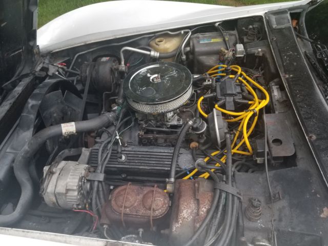1981 White Chevrolet Corvette Coupe