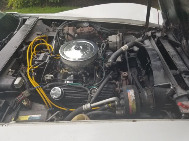 1981 White Chevrolet Corvette Coupe