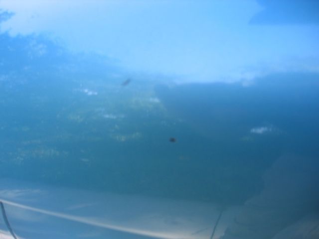 1959 Blue Cadillac Other