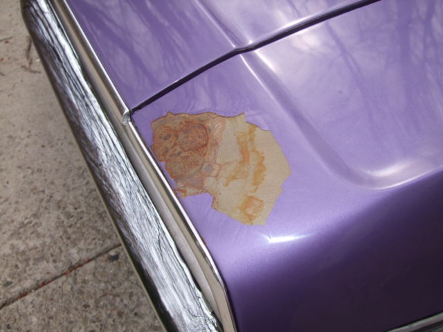 1970 Purple Dodge Challenger Coupe