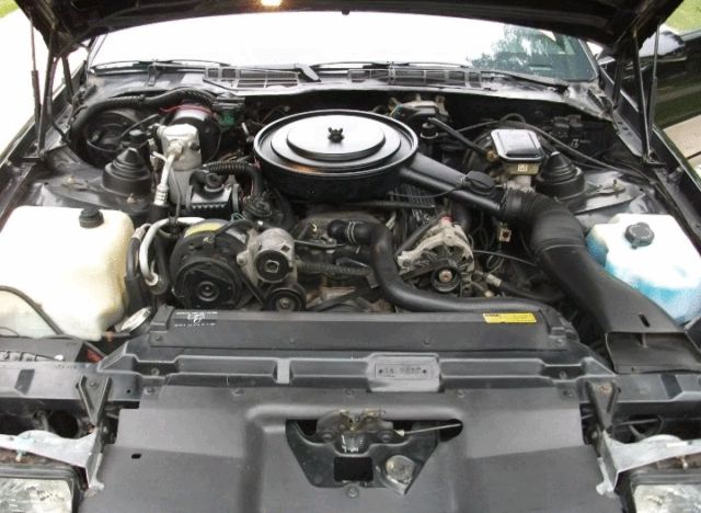 1988 Black Chevrolet Camaro Convertible