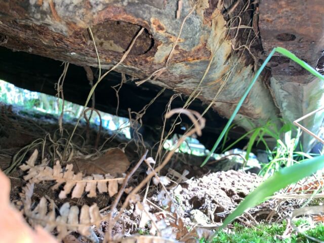 1967 Chevrolet Chevelle Coupe