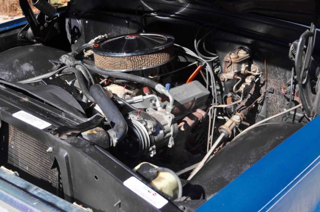 1969 Blue Chevrolet C-10 Standard Cab Pickup