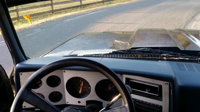 1982 Chevrolet C-10