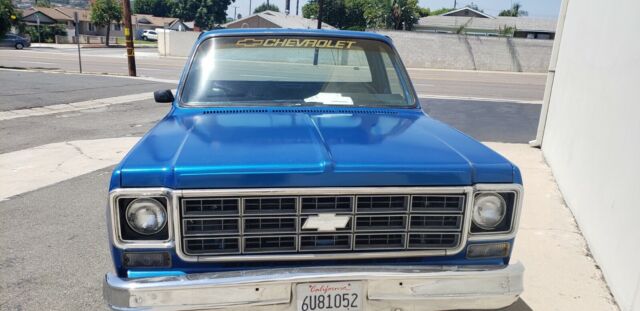 1979 Chevrolet C-10