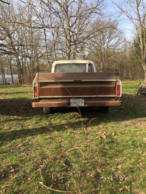 1972 Brown Chevrolet C-10 Standard Cab Pickup