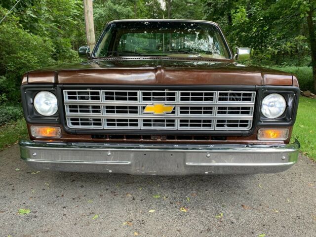 1978 Brown/Tan Chevrolet C-10 Truck