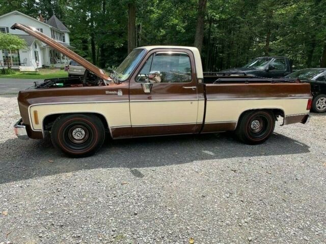 1978 Brown/Tan Chevrolet C-10 Truck