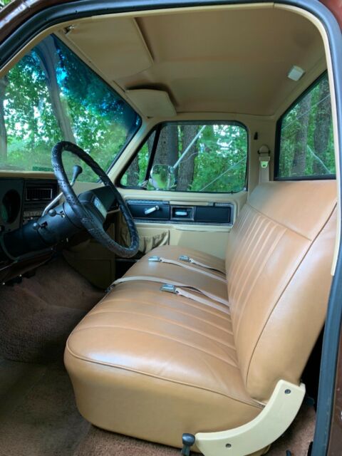 1978 Brown/Tan Chevrolet C-10 Truck